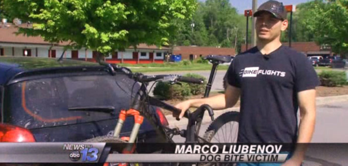 Mountain Biker attacked by a pack of Labradoodles